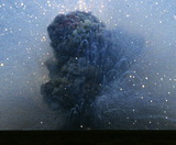 ��� �������