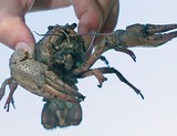 www.tassphoto.com